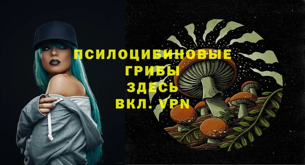 прущий лед Гусев