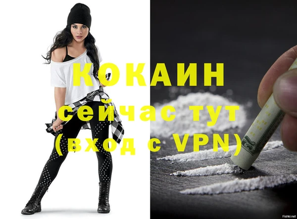 сатива Гусь-Хрустальный