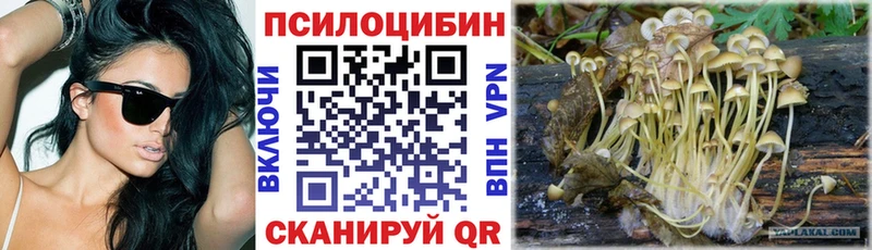 Псилоцибиновые грибы мухоморы  MEGA как войти  Находка  магазин продажи  
