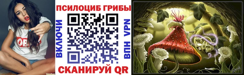 Псилоцибиновые грибы Psilocybe Находка
